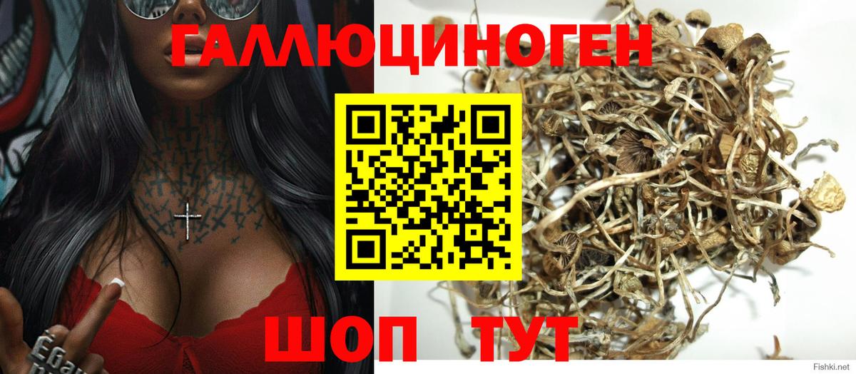 Галлюциногенные грибы мухоморы Красный Сулин